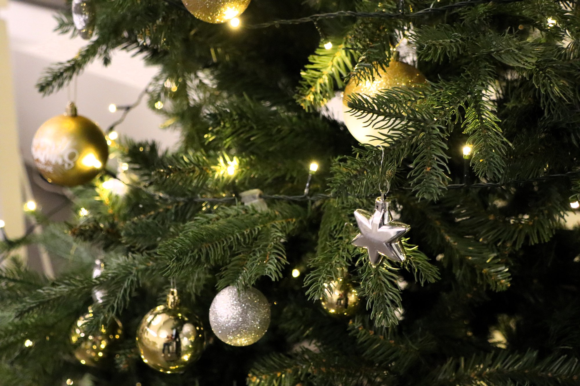 Zingen, swingen en gas geven tijdens het kerstfeest cover